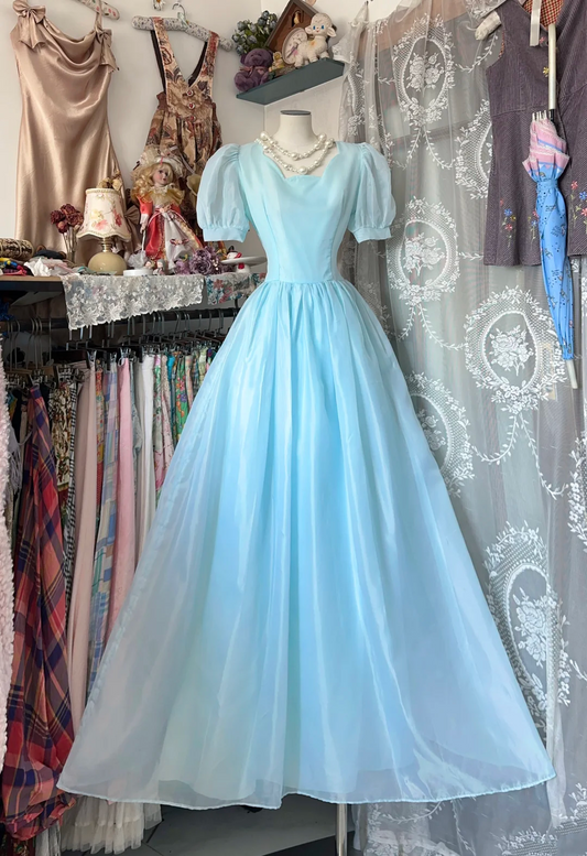 Blue Short Sleeved Princess Dress A Line Blue Formal Dress  P329