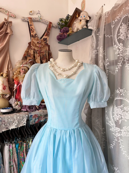 Blue Short Sleeved Princess Dress A Line Blue Formal Dress  P329
