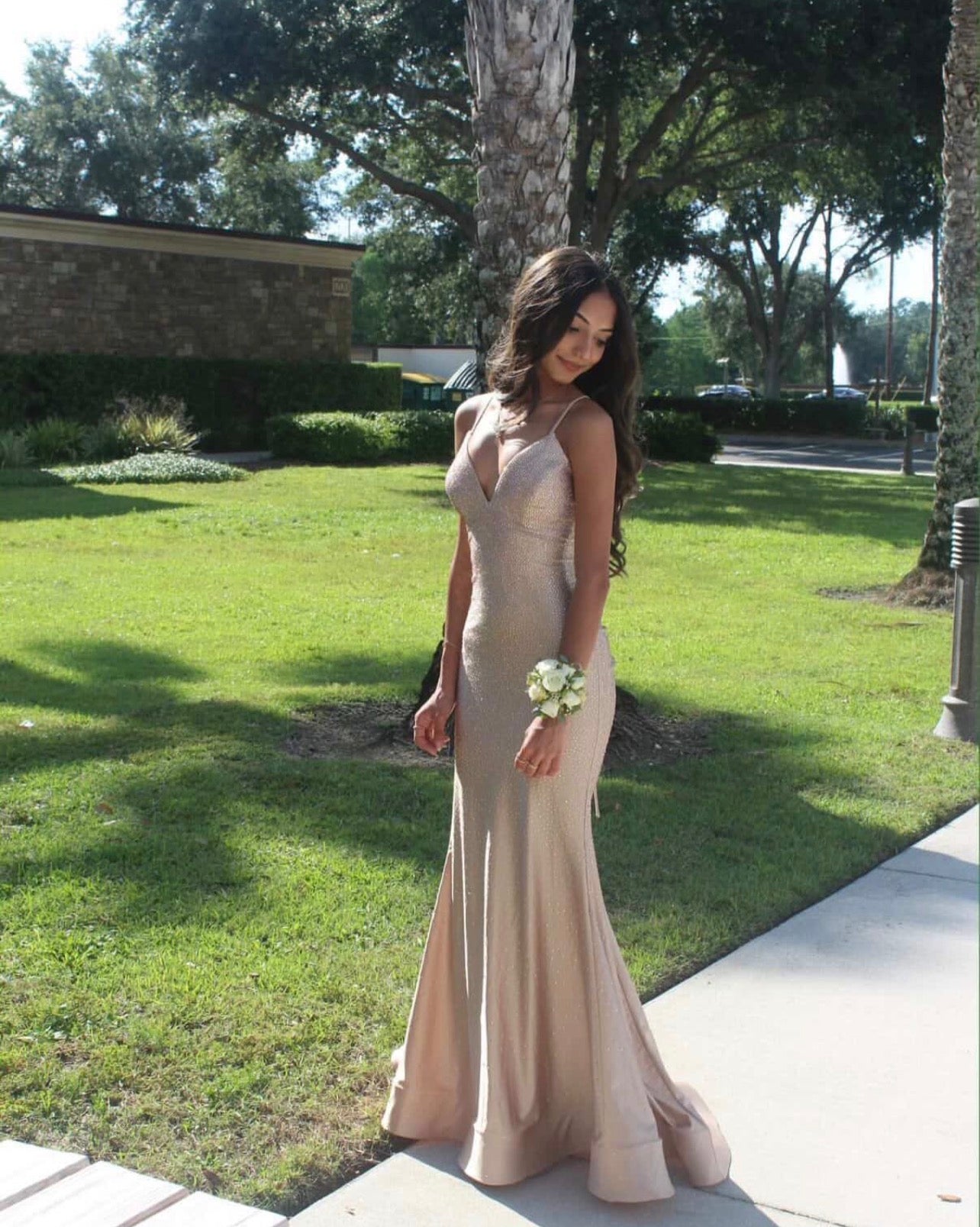 Spaghetti Straps Champagne Mermaid Prom Dress Sparkle Evening Gown  P1560