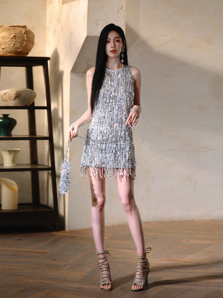 Sparkling Silver Tassel Short Dress Birthday Dress Party Cocktail Dress  L84