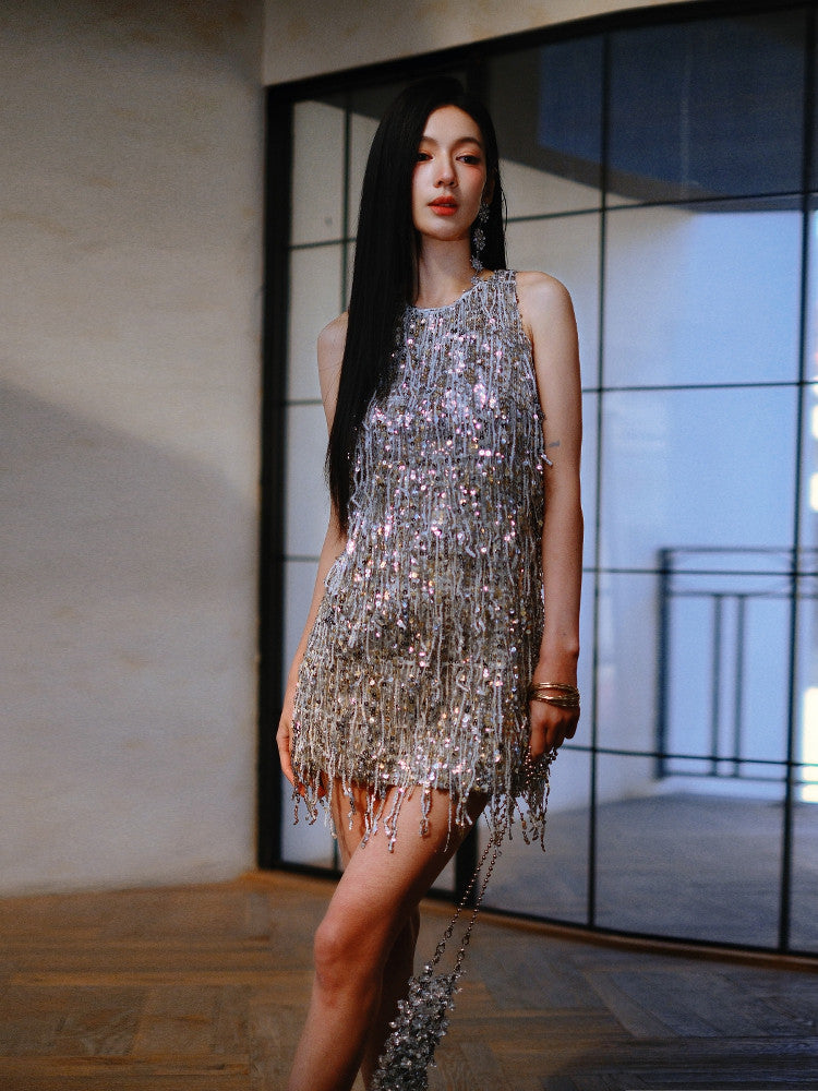 Sparkling Silver Tassel Short Dress Birthday Dress Party Cocktail Dress  L84